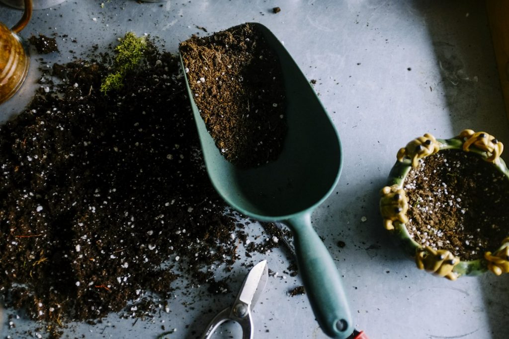 Garden Planters and Potted Plants